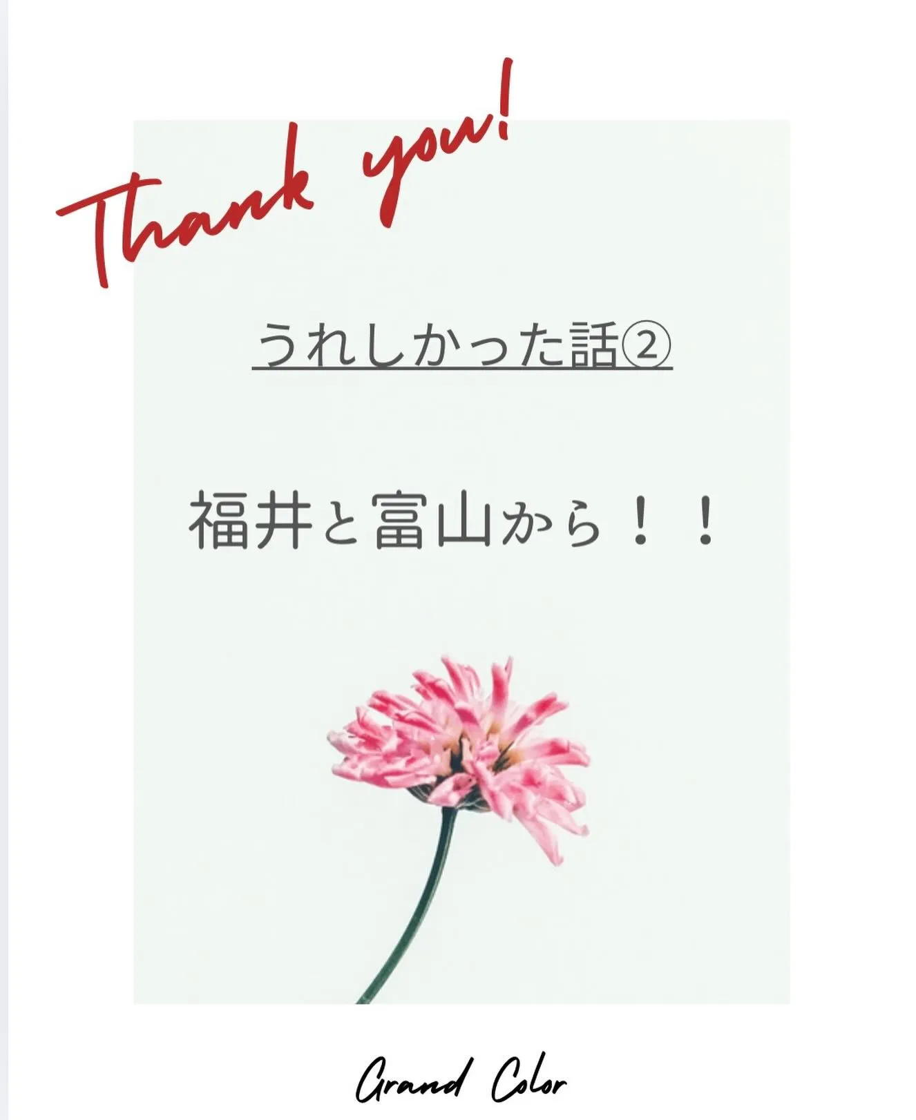 今日のうれしかった話🌷
